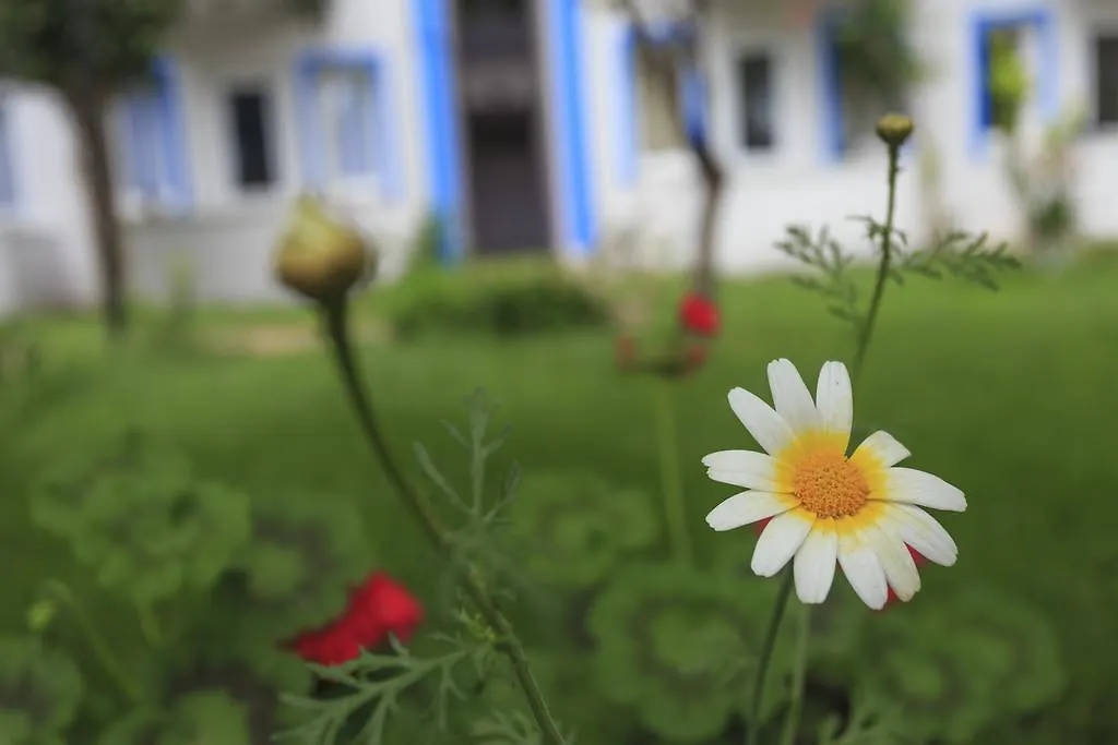 Akdeniz Beach Hotel Ölüdeniz